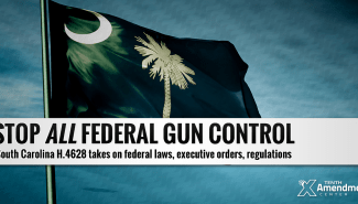 South Carolina Bill would set Foundation to Block Federal Gun Control